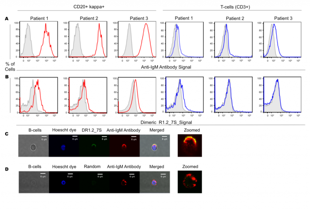 Characteristics of aptamers identified from LIGS